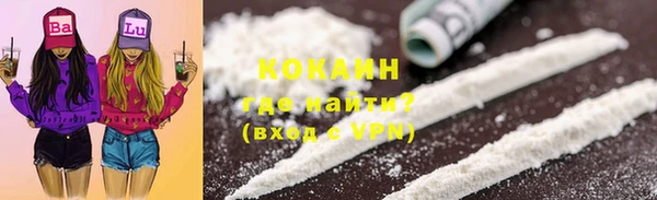 ешки Арсеньев
