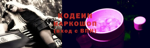 ешки Арсеньев