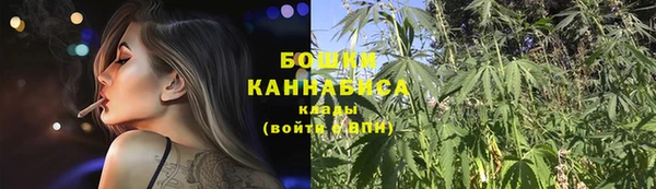 a pvp Новодвинск