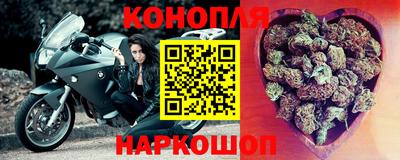 дживик Кингисепп