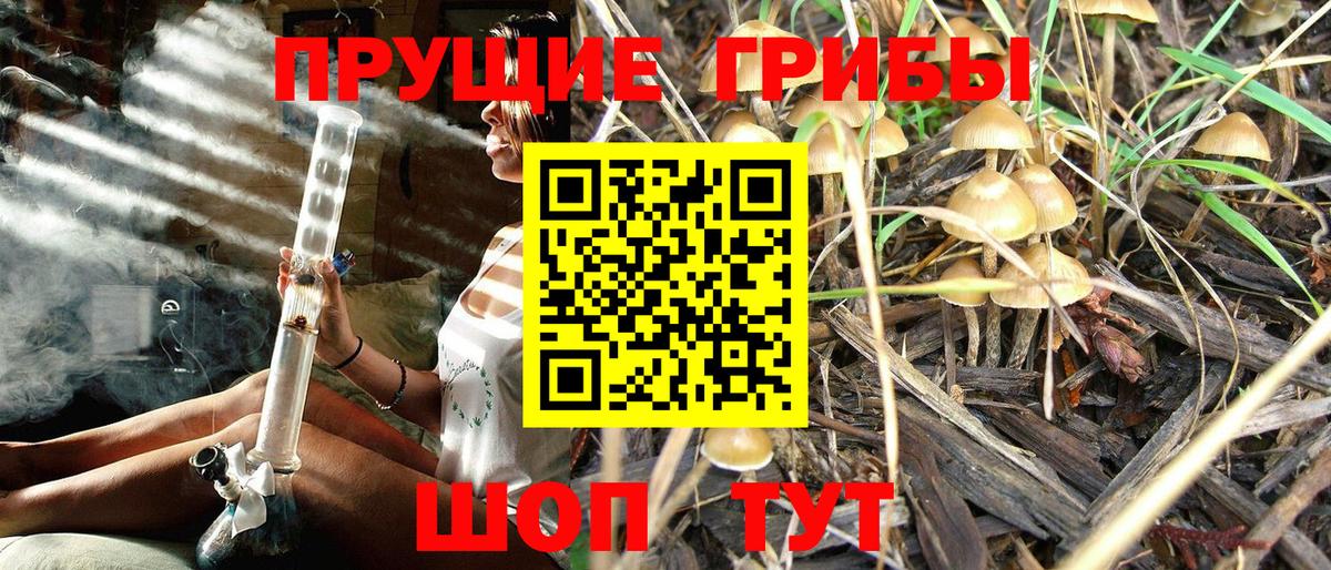 Галлюциногенные грибы мухоморы  Вход с VPN  Новый Уренгой  где купить наркотик  Псилоцибиновые грибы прущие грибы 